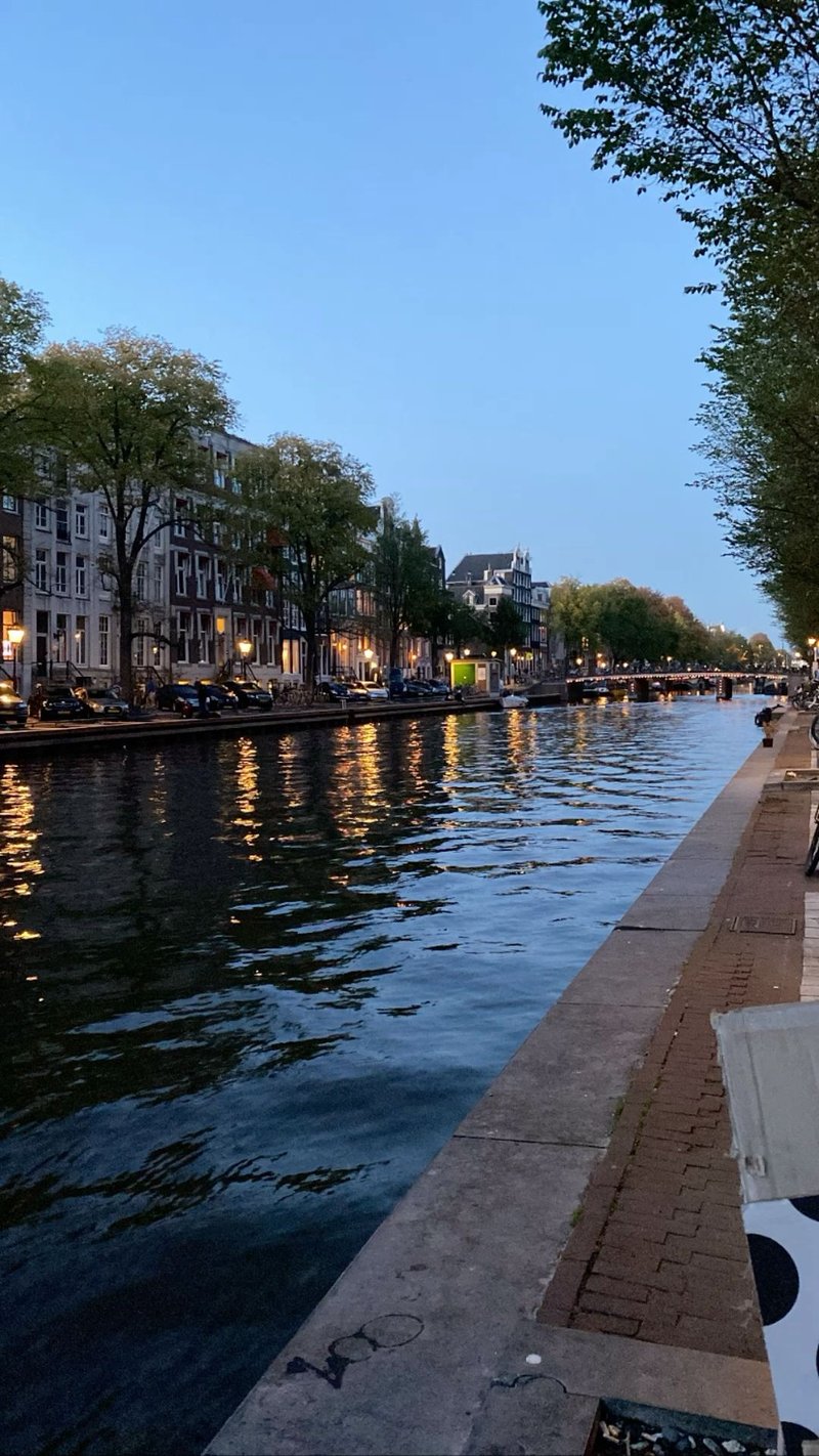 Best lizaro login in Netherlands